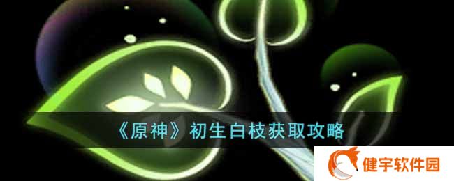 原神初生白枝怎么获得  初生白枝获取攻略