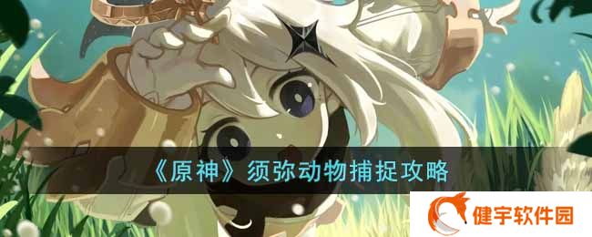 原神须弥动物怎么抓  须弥动物捕捉攻略
