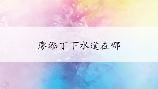廖添丁绝代凶贼之死期下水道在哪 廖添丁绝代凶贼之死期下水道位置介绍